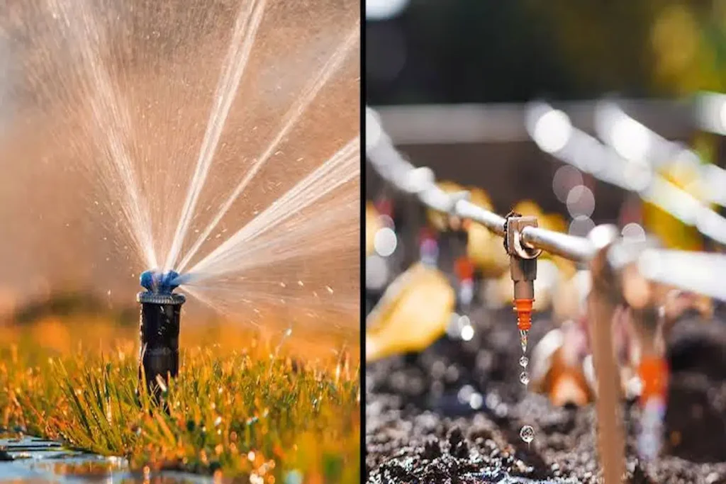 Sprinkler vs. Drip Irrigation